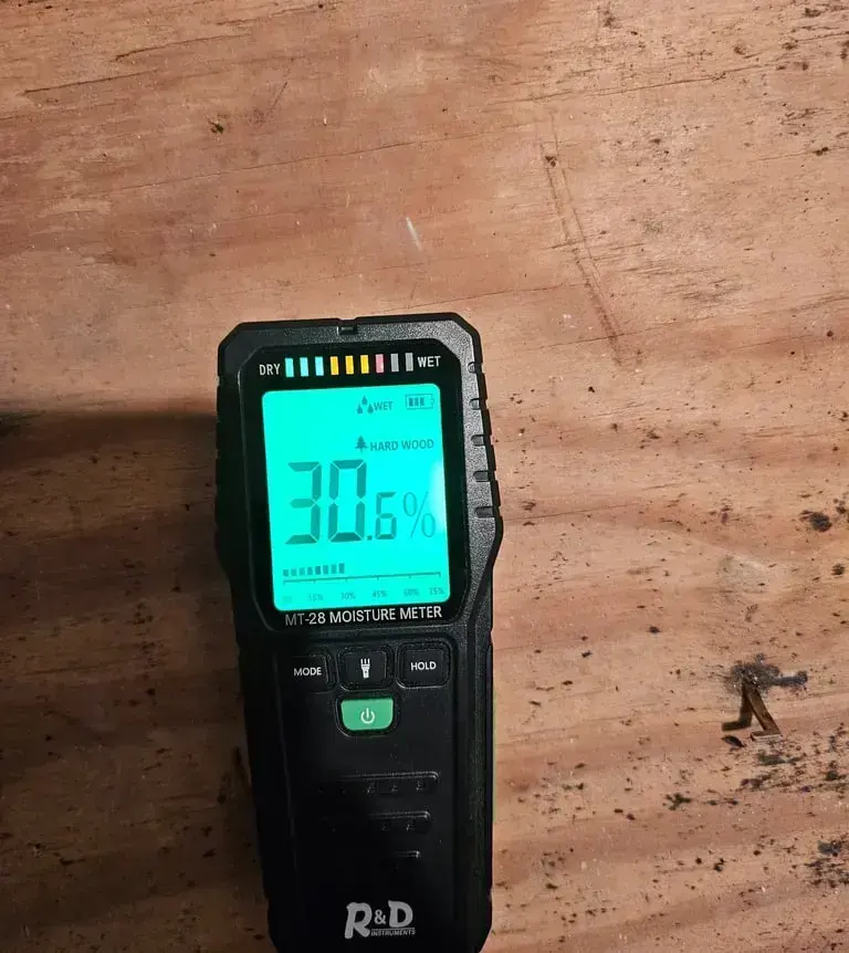 Moisture meter reading a wet subfloor during an inspection in Forest Hills, TN