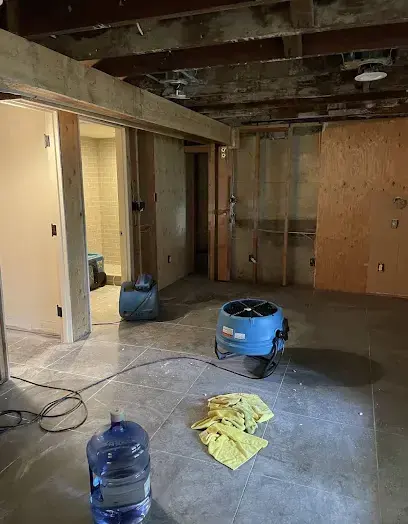 Room stripped open to the ceiling joists while an air mover runs in Forest Hills, TN