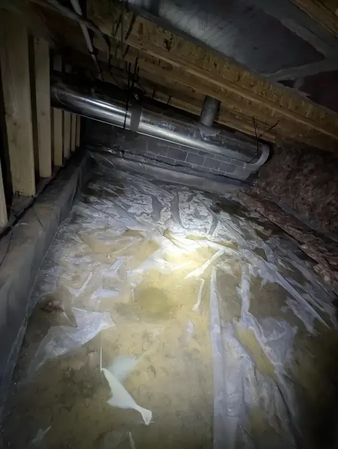 Standing water over the vapor barrier in a crawl space in Brentwood, TN