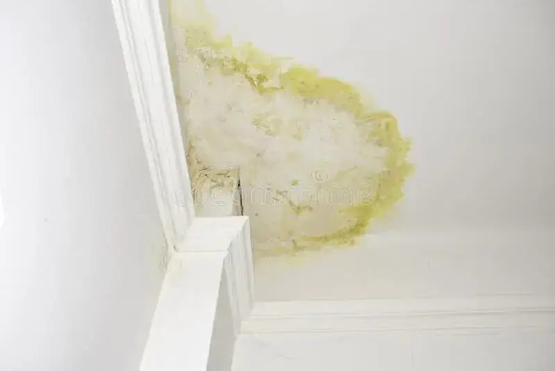 Water stain spreading where the ceiling meets an exterior wall in Brentwood, TN